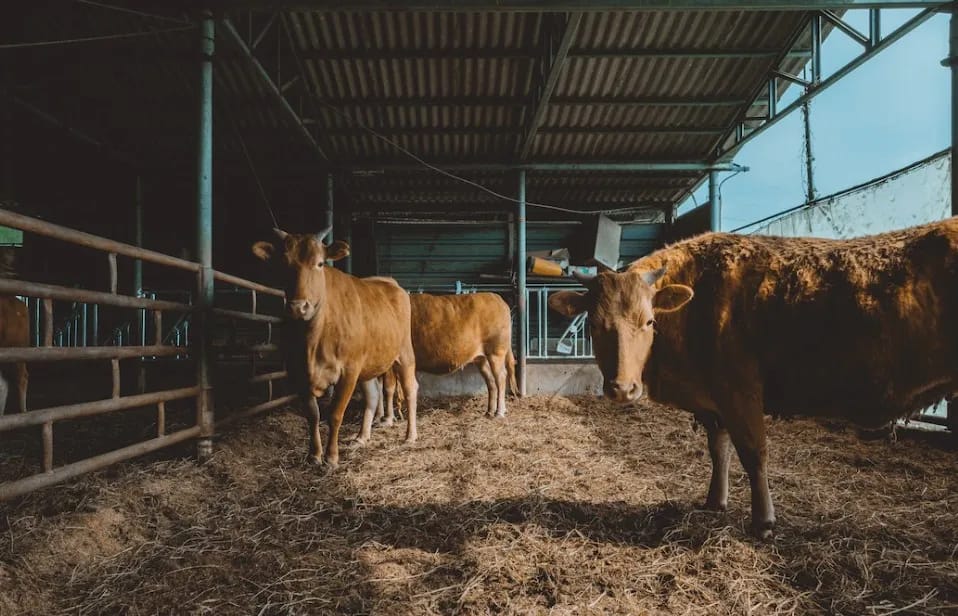 축산폐수 원심탈수기 추천